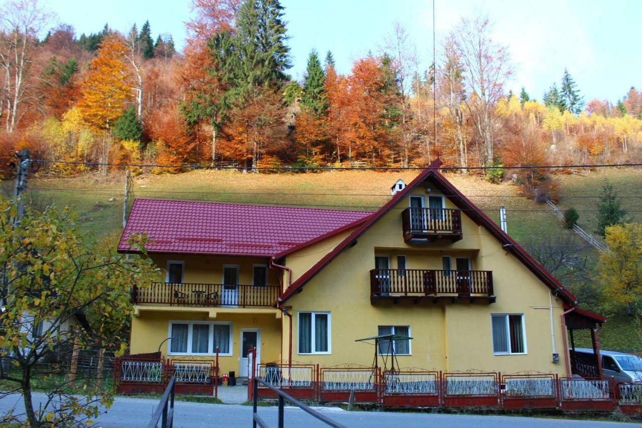 Casuta De Langa Padure Hotel Moeciu De Sus Exterior photo