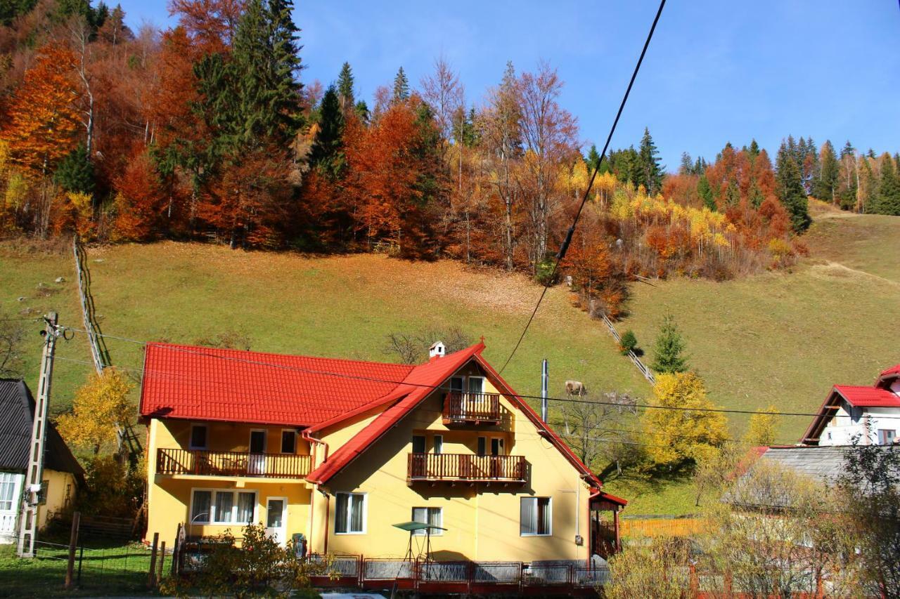 Casuta De Langa Padure Hotel Moeciu De Sus Exterior photo